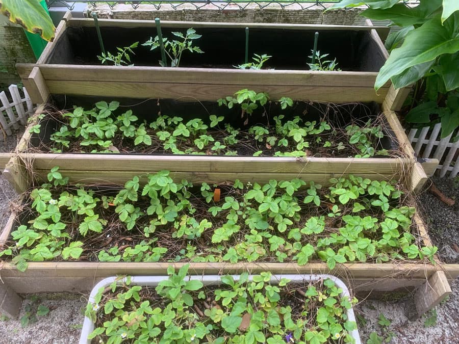 Os arredores do noso centro